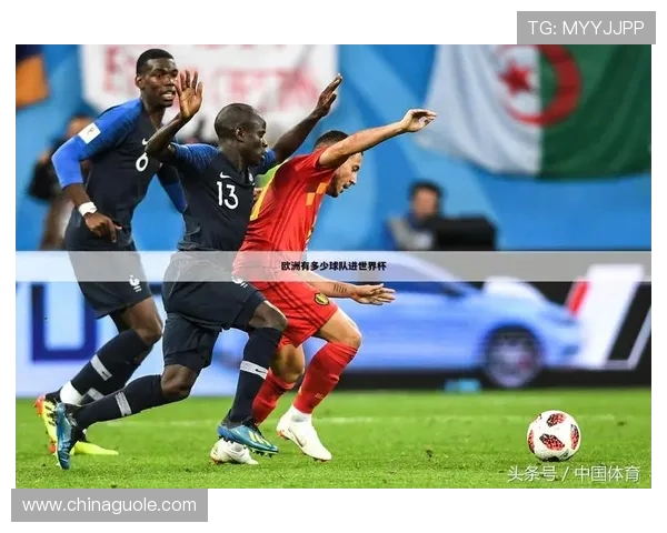 DQD体育全新赛事解析与运动爱好者互动体验指南